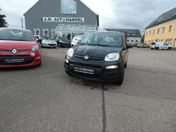 Schwarz Gebraucht 2014 Fiat Panda Pop Kleinwagen | 4.700 € (Fairer Preis)