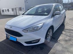 Weiß Gebraucht 2015 Ford Focus Business Edition Kombi | 5.500 € (Etwas zu teuer)