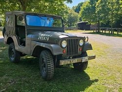 Grün Gebraucht 1968 Jeep Willys SUV | 16.990 €