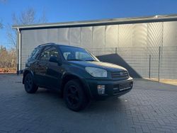 Grün Gebraucht 2002 Toyota RAV4 Limited SUV | 2.850 €
