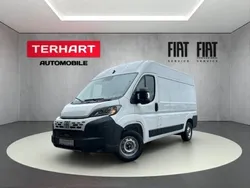 Weiss (pastell)) (weiss Neu 2025 Fiat Ducato Van | 36.875 € (Teuer)