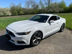 Weiß Gebraucht 2016 Ford Mustang Coupé | 22.800 € (Guter Preis)