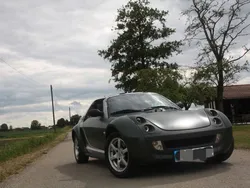 Grau Gebraucht 2005 Smart Roadster Cabrio | 7.400 € (Fairer Preis)