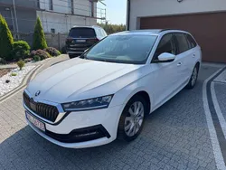 Weiß Gebraucht 2024 Skoda Octavia Ambition Kombi | 27.900 € (Superpreis)