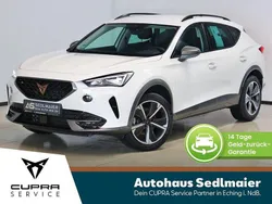 Candy weiss Gebraucht 2024 Cupra Formentor SUV | 25.900 € (Fairer Preis)