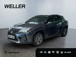 Grau Gebraucht 2024 Lexus UX 300e SUV | 34.990 € (Superpreis)