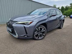 Marlingrau (metallic) Gebraucht 2020 Lexus UX 250h Luxury Line SUV | 27.990 € (Teuer)