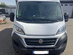 Weiß Gebraucht 2019 Fiat Ducato Van | 11.490 € (Superpreis)