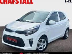 Weiss ((ud) schneeweiss) Gebraucht 2024 Kia Picanto Vision Kleinwagen | 15.979 € (Fairer Preis)