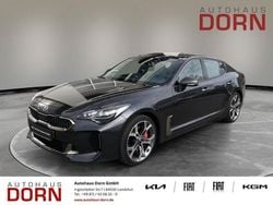 Pantera metal Gebraucht 2019 Kia Stinger Kleinwagen | 31.890 € (Fairer Preis)