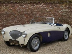 Weiß Gebraucht 1953 Austin Healey 100 Cabrio | 112.500 €