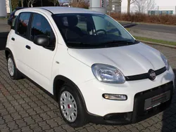 Colore esterno (weiss) Neu 2024 Fiat Panda Kleinwagen | 13.990 €
