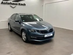 Grau Gebraucht 2019 Skoda Octavia Limousine | 17.900 € (Teuer)