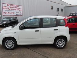 Weiß Gebraucht 2020 Fiat Panda Easy Kleinwagen | 12.950 € (Teuer)