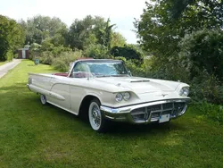 Weiß Gebraucht 1960 Ford Thunderbird Convertible Cabrio | 43.500 €