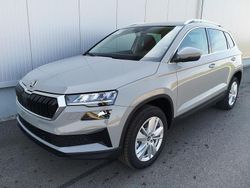 Steelgrau Neu 2025 Skoda Karoq Selection SUV | 35.875 € (Guter Preis)