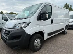 Weiss Gebraucht 2020 Fiat Ducato 33 S Van | 19.990 €
