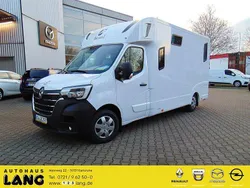 Mineral weiss Gebraucht 2023 Renault Master Van | 81.990 €