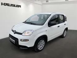 Gelato weiß Neu 2024 Fiat Panda Kleinwagen | 14.990 €