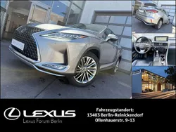 Titaniumsilber metallic (1j7) Gebraucht 2020 Lexus RX450h Luxury Line SUV | 45.980 € (Etwas zu teuer)