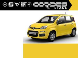 Gelb Neu 2025 Fiat Panda Pop Kleinwagen | 16.490 € (Fairer Preis)