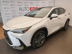 Weiß Gebraucht 2024 Lexus NX350h Luxury Line SUV | 60.000 €