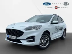 Weiß Gebraucht 2024 Ford Kuga ST-Line X SUV | 35.990 € (Guter Preis)