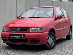 Rot Gebraucht 1996 VW Polo Limousine | 999 €
