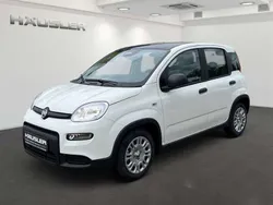 Bicolore gelato weiß /dach sc Neu 2024 Fiat Panda Kleinwagen | 15.790 €
