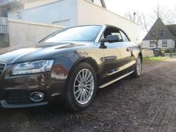 Braun Gebraucht 2011 Audi A5 Cabriolet Sport Cabrio | 17.950 € (Fairer Preis)