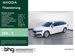 Weiß Gebraucht 2022 Skoda Octavia Ambition Kombi | 22.360 € (Fairer Preis)