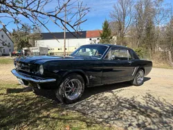 Grün Gebraucht 1964 Ford Mustang Coupé | 33.000 €