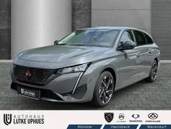 Grau Neu 2025 Peugeot 308 Allure Kombi | 33.990 € (Etwas zu teuer)