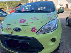 Grün Gebraucht 2009 Ford Ka Kleinwagen | 2.300 € (Etwas zu teuer)