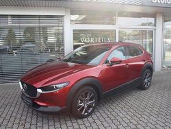 Rot Gebraucht 2021 Mazda CX-30 Selection SUV | 21.990 € (Guter Preis)