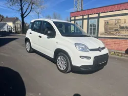 Weiß Gebraucht 2023 Fiat Panda Kleinwagen | 12.000 € (Guter Preis)