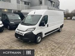 Weiss ducato weiss Neu 2025 Fiat Ducato 33 Van | 27.656 € (Guter Preis)