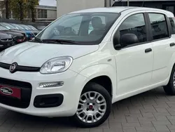 Colore esterno (weiss) Gebraucht 2019 Fiat Panda Kleinwagen | 9.199 € (Fairer Preis)