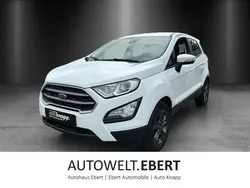 Frostweiß Gebraucht 2020 Ford Ecosport Trend SUV | 13.990 € (Fairer Preis)
