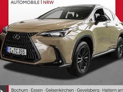 Beige Gebraucht 2024 Lexus NX350h E-FOUR SUV | 73.350 €