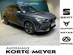 Grau Gebraucht 2023 Cupra Formentor SUV | 30.900 € (Fairer Preis)