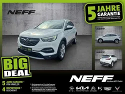 Jade weiss/arktis weiss Gebraucht 2021 Opel Grandland X Elegance SUV | 21.670 € (Etwas zu teuer)