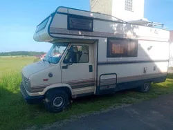 Beige Gebraucht 1987 Peugeot J5 | 12.499 €