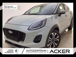 Cactus gray (grau) Gebraucht 2024 Ford Puma Titanium SUV | 21.290 € (Superpreis)