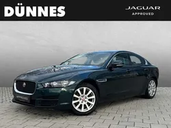 British racing green Gebraucht 2015 Jaguar XE Pure Limousine | 15.450 € (Fairer Preis)