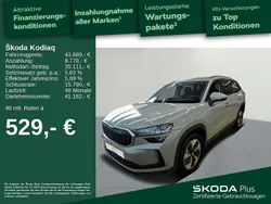 Grau Gebraucht 2024 Skoda Kodiaq Selection SUV | 43.889 € (Guter Preis)