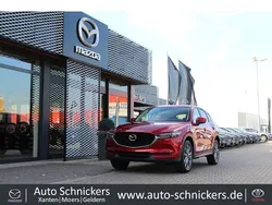 Rot Gebraucht 2021 Mazda CX-5 Inclusive SUV | 27.980 € (Fairer Preis)