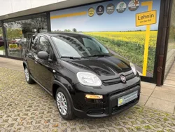 Schwarz Gebraucht 2024 Fiat Panda Kleinwagen | 14.790 € (Etwas zu teuer)