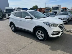 Weiß Gebraucht 2016 Hyundai Santa Fe Premium SUV | 11.900 € (Superpreis)