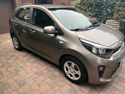 Braun Gebraucht 2019 Kia Picanto Edition 7 Kleinwagen | 9.500 € (Fairer Preis)